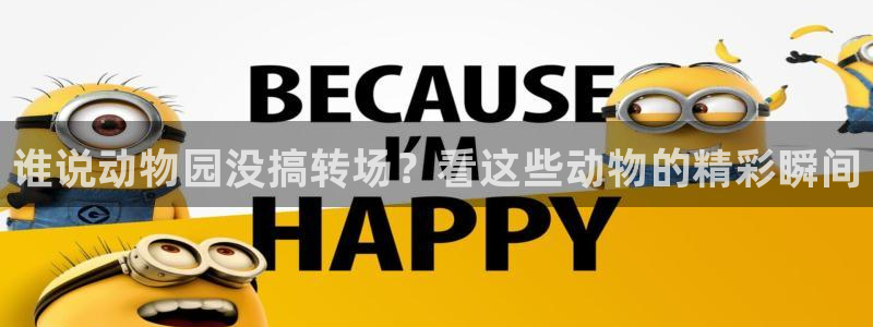 誰(shuí)說(shuō)動(dòng)物園沒(méi)搞轉(zhuǎn)場(chǎng)？看這些動(dòng)物的精彩瞬間